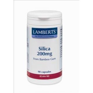 BestPharmacy.gr - Photo of Lamberts Silica 90 Caps