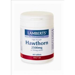 BestPharmacy.gr - Photo of Lamberts Hawthorn 2500mg 60 Tabs