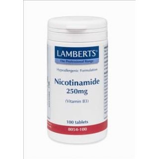 BestPharmacy.gr - Photo of Lamberts Nicotinamide 250mg 100 Tabs