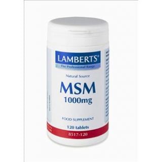 BestPharmacy.gr - Photo of Lamberts MSM 1000mg 120 Tabs