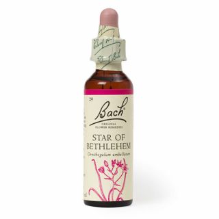 Bach Star Of Bethleem No29 20ml