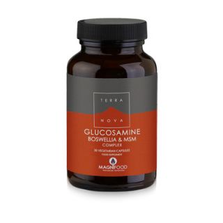 Terranova Glucosamine, Boswellia & ΜSM Complex - Joint Support 50 Caps